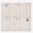 Uttermost Wild Flourish Framed Floral Prints in Multi-Color (Set of 6)