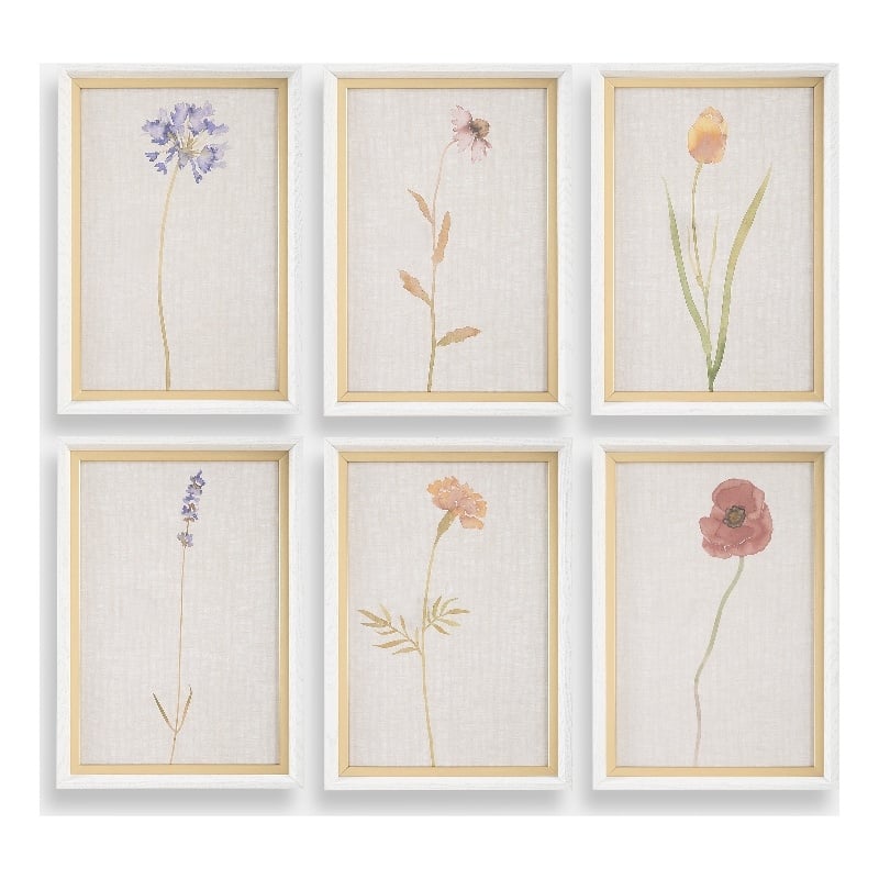Uttermost Wild Flourish Framed Floral Prints in Multi-Color (Set of 6)