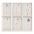 Uttermost Wild Flourish Framed Floral Prints in Multi-Color (Set of 6)