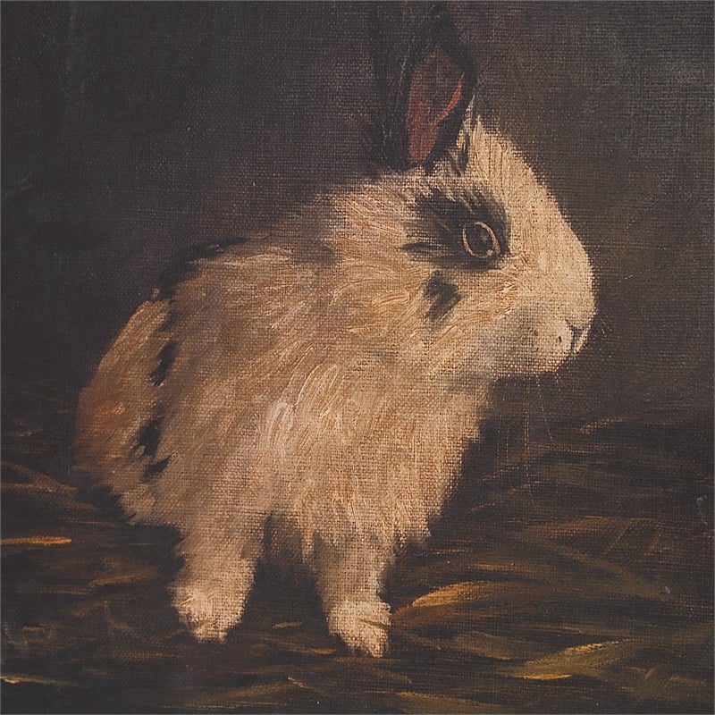 Uttermost Resting Bunny Framed Prints in Multi-Color (Set of 9)