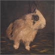 Uttermost Resting Bunny Framed Prints in Multi-Color (Set of 9)