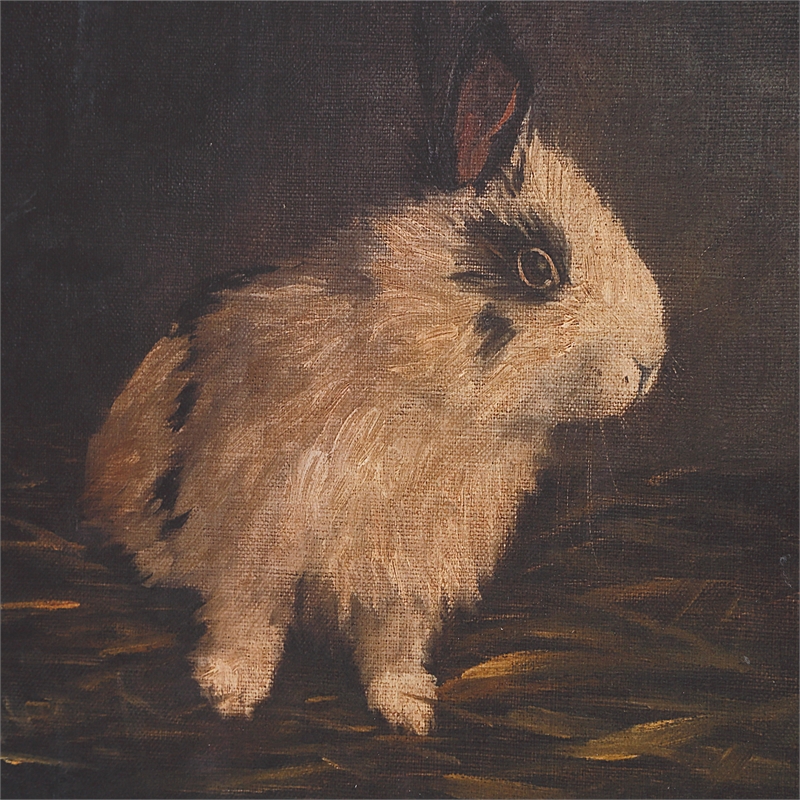 Uttermost Resting Bunny Framed Prints in Multi-Color (Set of 9)
