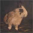 Uttermost Resting Bunny Framed Prints in Multi-Color (Set of 9)