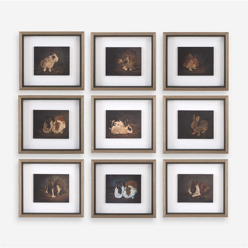 Uttermost Resting Bunny Framed Prints in Multi-Color (Set of 9)