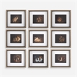 Uttermost Resting Bunny Framed Prints in Multi-Color (Set of 9)