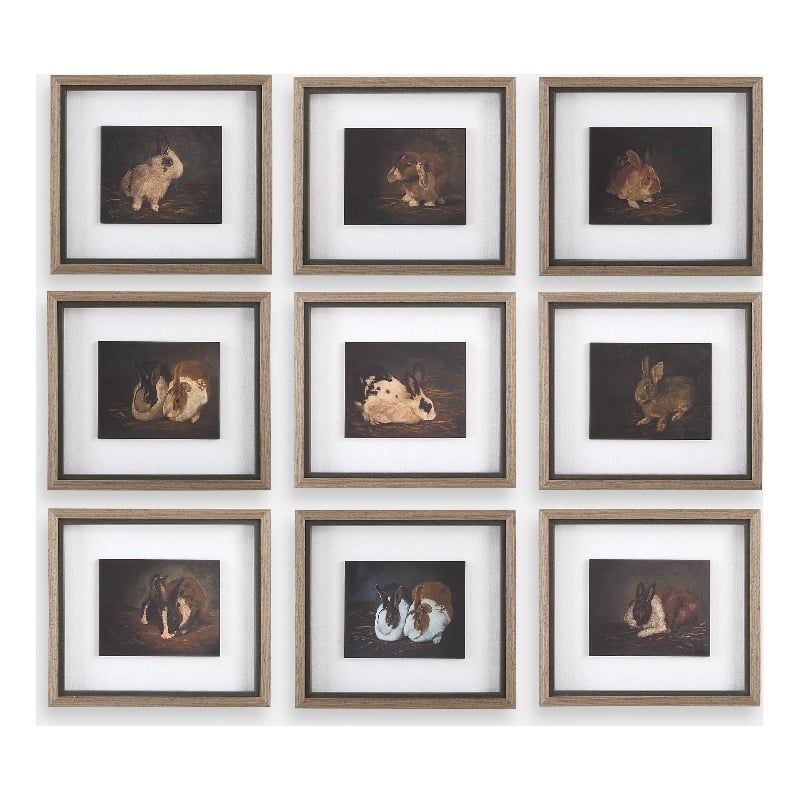 Uttermost Resting Bunny Framed Prints in Multi-Color (Set of 9)