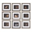 Uttermost Resting Bunny Framed Prints in Multi-Color (Set of 9)