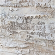 Uttermost Desert Oasis Abstract Canvas Art in Multi-Color