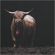 Uttermost King Of The Hill Framed Bovine Print in Black