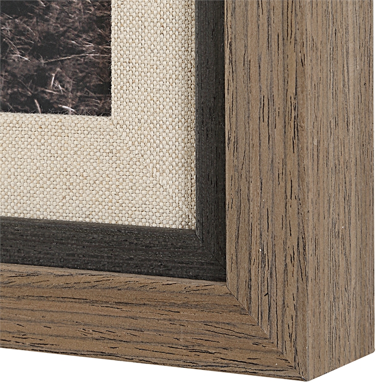 Uttermost King Of The Hill Framed Bovine Print in Black