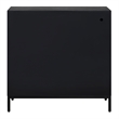 Uttermost Beswick Black 2 Door Cabinet