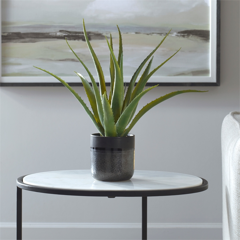 Uttermost Tucson Aloe Planter in Multi-Color