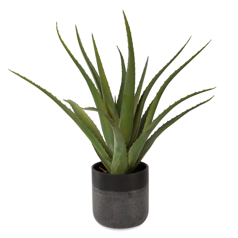 Uttermost Tucson Aloe Planter in Multi-Color