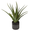 Uttermost Tucson Aloe Planter in Multi-Color