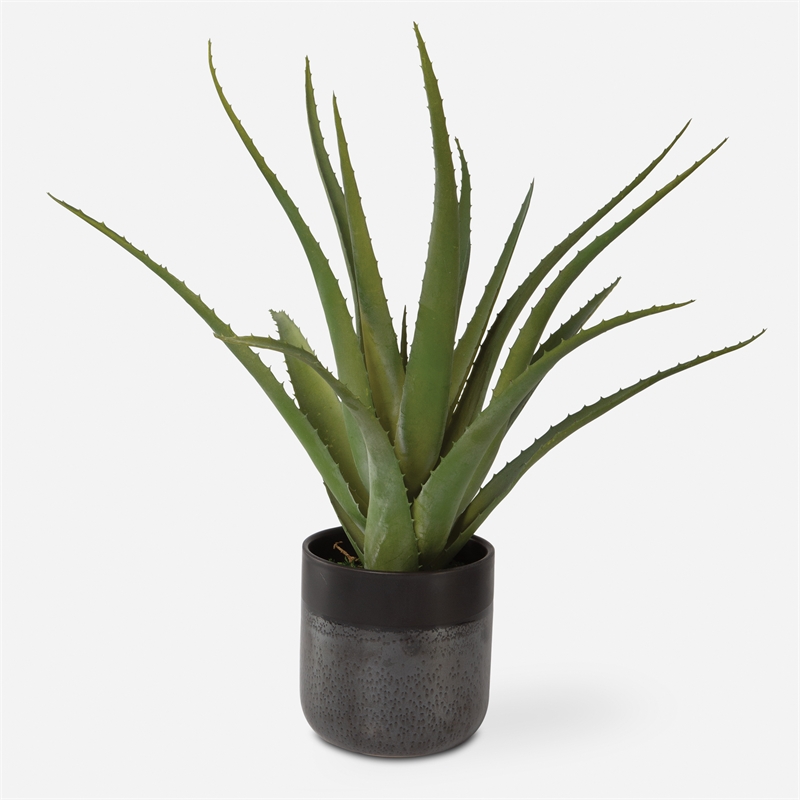 Uttermost Tucson Aloe Planter in Multi-Color