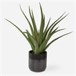Uttermost Tucson Aloe Planter in Multi-Color