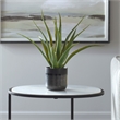 Uttermost Tucson Aloe Planter in Multi-Color