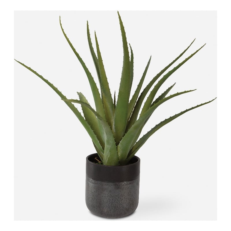 Uttermost Tucson Aloe Planter in Multi-Color