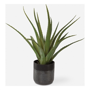 Uttermost Tucson Aloe Planter in Multi-Color