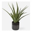 Uttermost Tucson Aloe Planter in Multi-Color