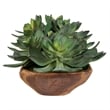 Uttermost Yuma Succulent Centerpiece in Multi-Color