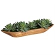 Uttermost Yuma Succulent Centerpiece in Multi-Color