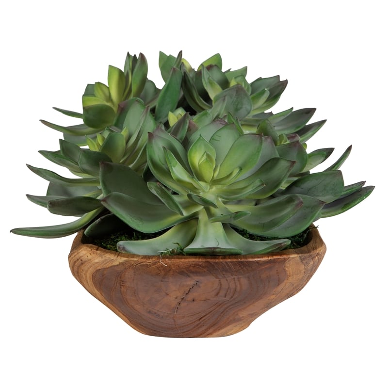 Uttermost Yuma Succulent Centerpiece in Multi-Color