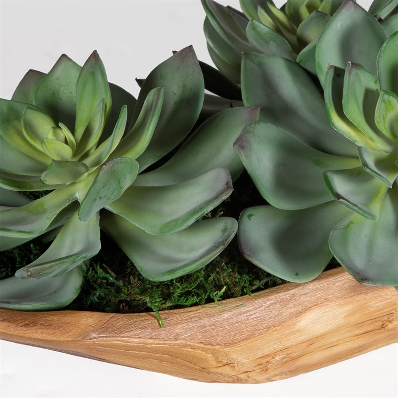 Uttermost Yuma Succulent Centerpiece in Multi-Color