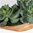 Uttermost Yuma Succulent Centerpiece in Multi-Color