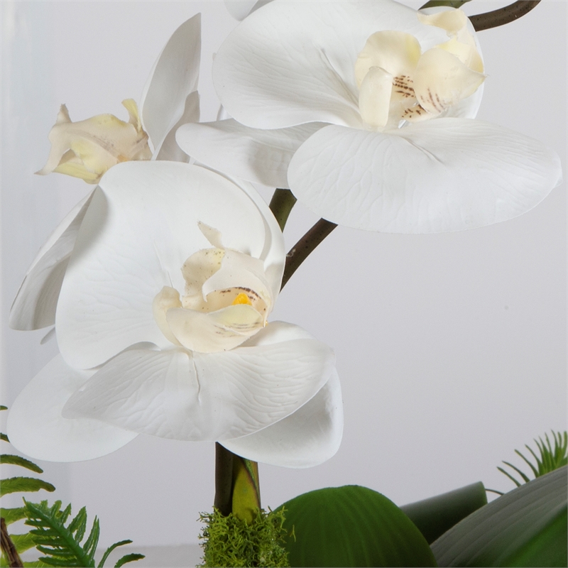 Uttermost Transcend Orchid Centerpiece in Multi-Color