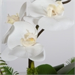 Uttermost Transcend Orchid Centerpiece in Multi-Color