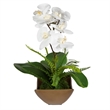 Uttermost Transcend Orchid Centerpiece in Multi-Color