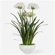 Uttermost Purity Agapanthus Centerpiece in Multi-Color