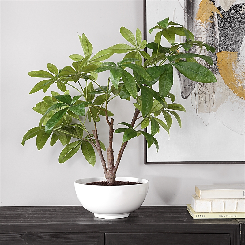 Uttermost Pachira Money Tree in Multi-Color