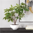 Uttermost Pachira Money Tree in Multi-Color
