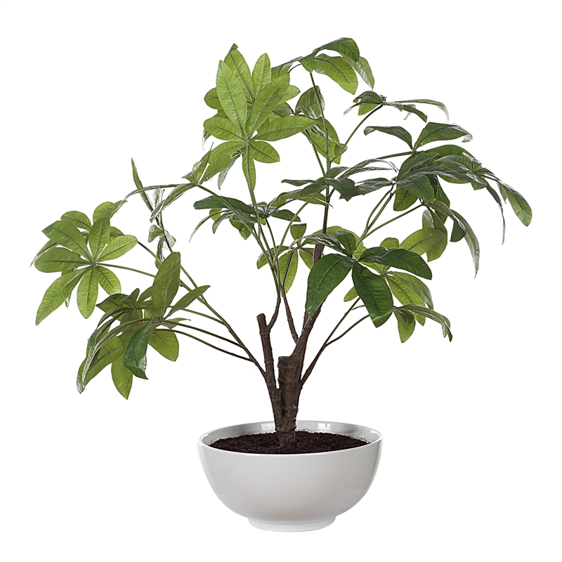 Uttermost Pachira Money Tree in Multi-Color