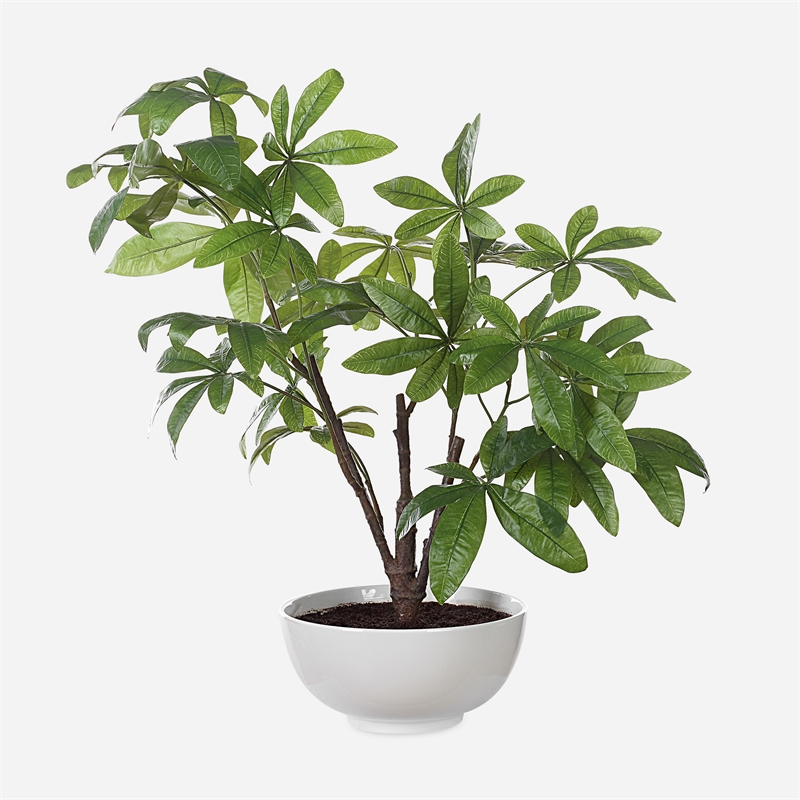 Uttermost Pachira Money Tree in Multi-Color