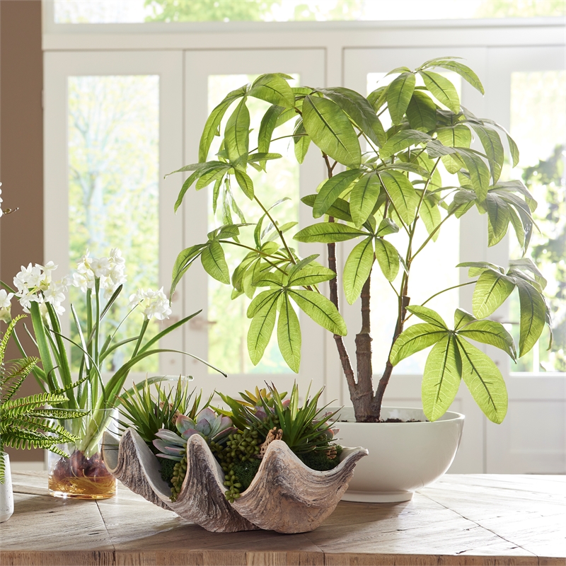 Uttermost Pachira Money Tree in Multi-Color