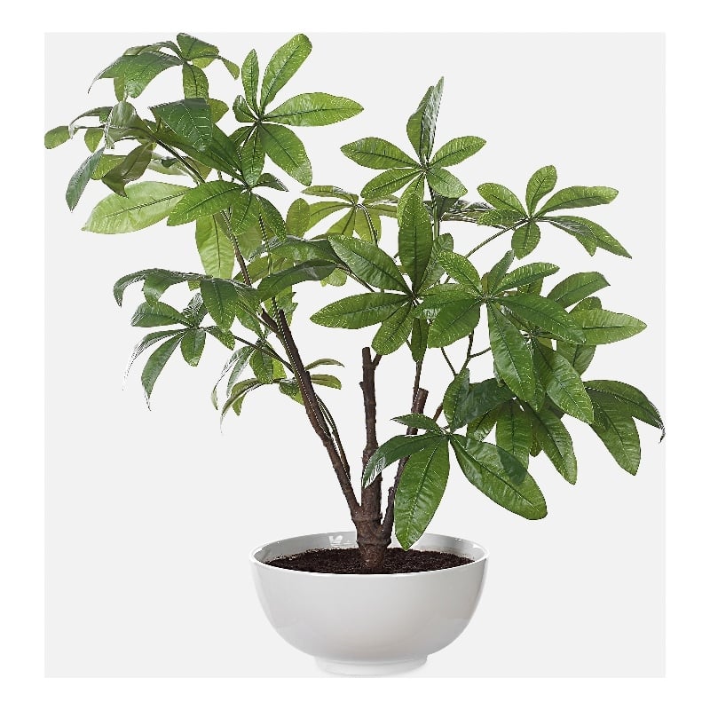 Uttermost Pachira Money Tree in Multi-Color
