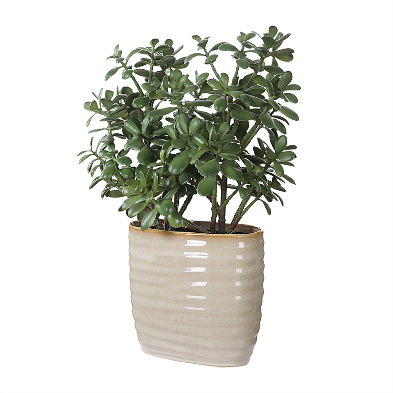 Uttermost Crassula Jade Accent Plant