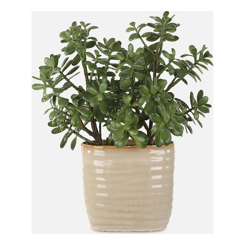 Uttermost Crassula Jade Accent Plant