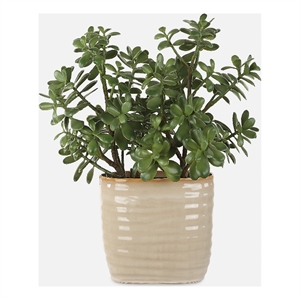 Uttermost Crassula Jade Accent Plant