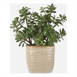 Uttermost Crassula Jade Accent Plant