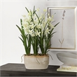 Uttermost Ariana Orchid Planter in Multi-Color