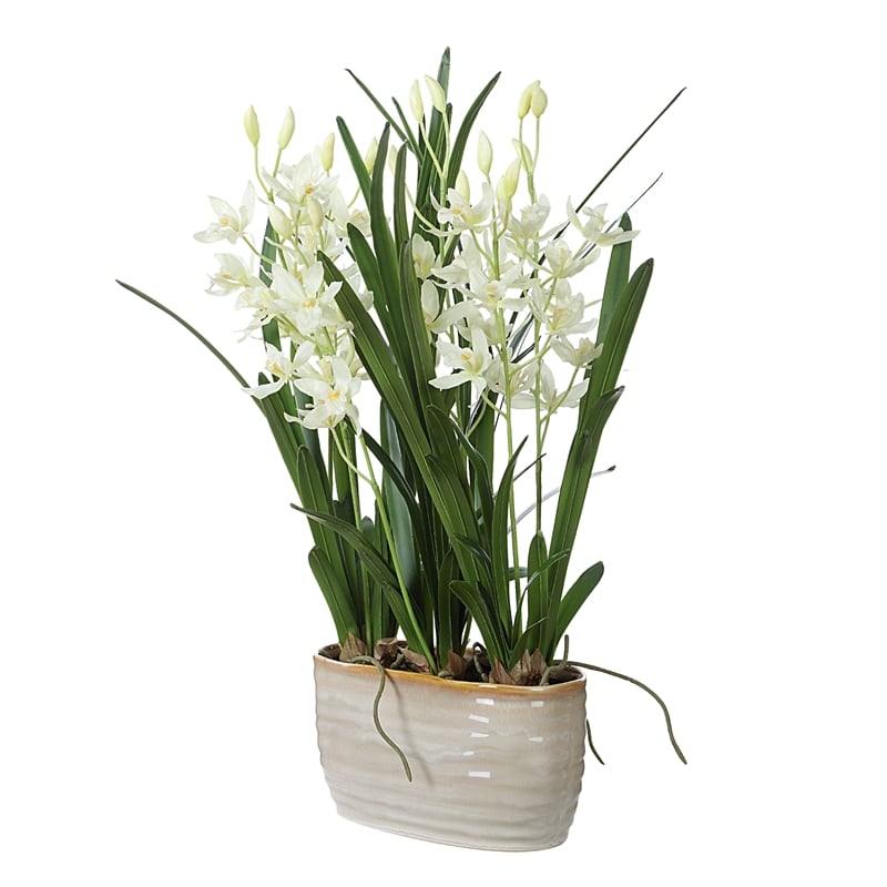 Uttermost Ariana Orchid Planter in Multi-Color