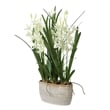 Uttermost Ariana Orchid Planter in Multi-Color