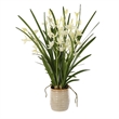 Uttermost Ariana Orchid Planter in Multi-Color