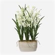Uttermost Ariana Orchid Planter in Multi-Color