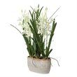 Uttermost Ariana Orchid Planter in Multi-Color