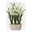 Uttermost Ariana Orchid Planter in Multi-Color